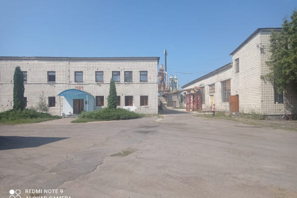Wood processing plant in the Rivne region for sale